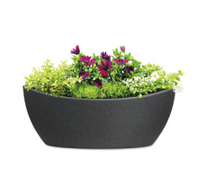 Ghiveci flori Scheurich Wave Globe Ø 58 cm H 23 cm negru