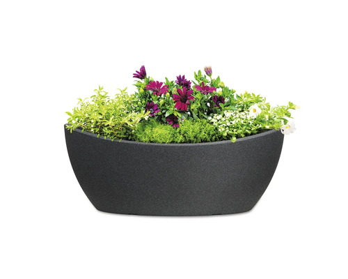 Jardiniere cu flori și plante