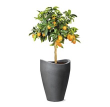 Ghiveci flori Scheurich Wave Globe Ø 49,6 cm H 67 cm negru