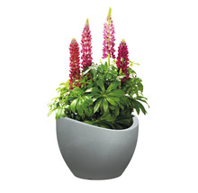Ghiveci flori Scheurich Wave Globe Ø 39,5 cm H 29,3 cm gri
