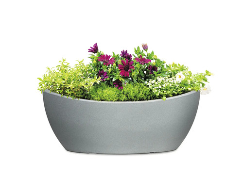 Jardinieră gri cu diverse plante