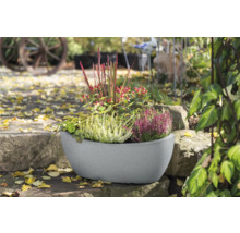 Ghiveci flori Scheurich Wave Globe Ø 58 cm H 23 cm gri
