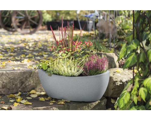 Jardinieră umplută în grădină cu flori de toamnă