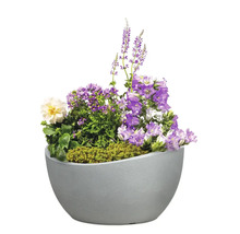 Ghiveci flori Scheurich Wave Globe Ø 39,3 cm H 21 cm gri