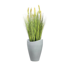 Ghivece decorative cu smocuri de iarbă într-un ghiveci gri pentru interior