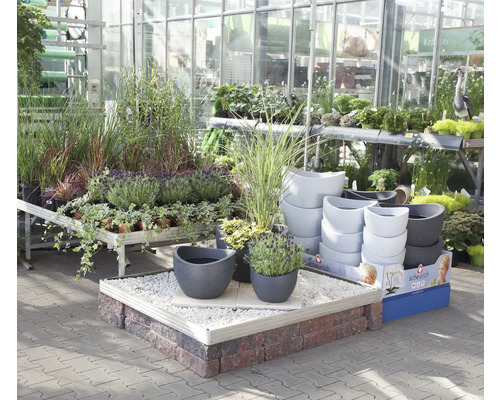 Expoziție de plante și ghivece de flori într-un centru de grădinărit.