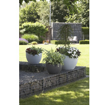 Trei jardiniere cu plante pe o structură de sârmă umplută cu pietre în grădină.