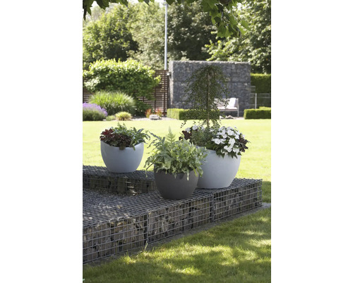 Trei jardiniere cu plante pe o structură de sârmă umplută cu pietre în grădină.