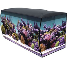 Acvariu cu decor de recif de corali