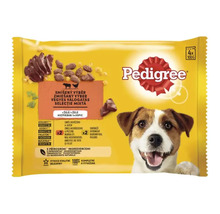 Pedigree Multipack hrană pentru câini cu selecție mixtă