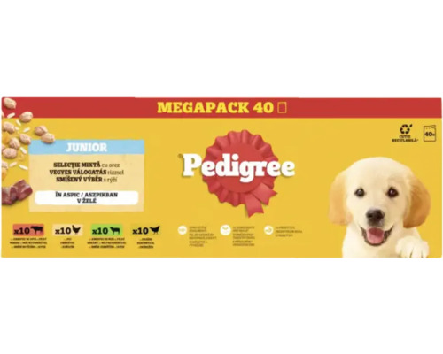 Pedigree Junior Megapack 40 hrană pentru câini cu selecție mixtă și orez