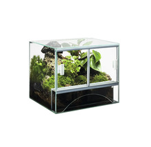 Terariu de sticlă cu plante și pietre
