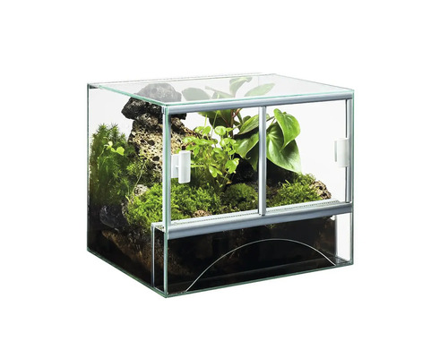 Terariu de sticlă cu plante și pietre