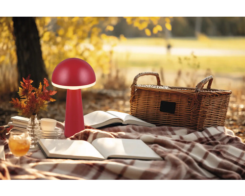 Scenă cu pătură de picnic, coș și lampă ciupercă roșie afară