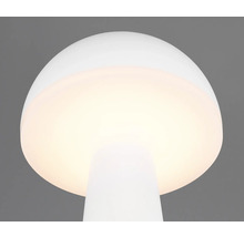 Veioză LED Fungo 2W 200 lumeni, lumină reglabilă, pentru exterior IP54, încărcare USB, albă