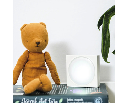 Scenă cu ursuleț de pluș, carte și lampă pătrată