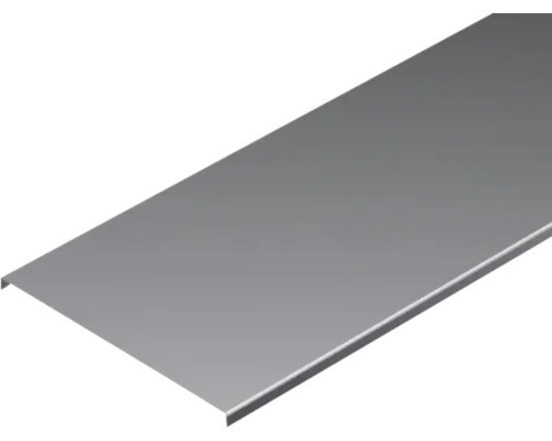 Capac jgheab metalic perforat 50x15x0.6 mm, 3 m | HORNBACH