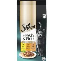 Sheba Fresh and Fine hrană pentru pisici, pachet multiplu cu carne de pasăre în sos