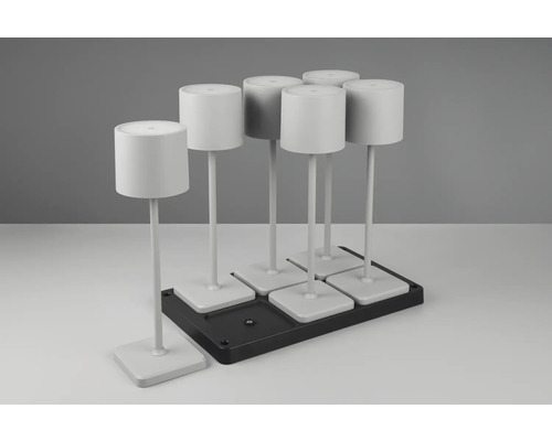 Dispozitiv de antrenament pentru câini cu șapte elemente