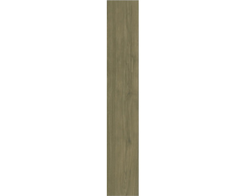 Placă ceramică aspect lemn cu structură de lemn