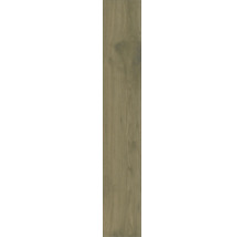 Placă ceramică aspect lemn