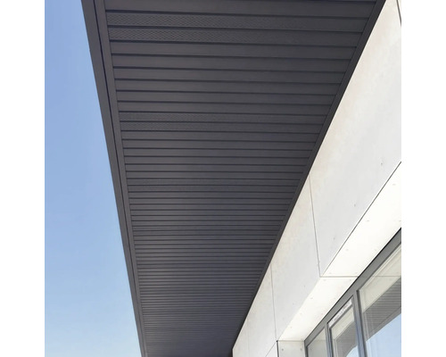 Vedere a unui tavan cu design liniar și fațadă adiacentă