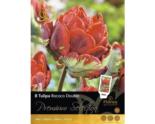 Pachet cu 8 bulbi de lalele Tulipa Rococo Double