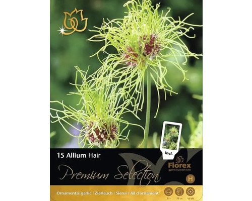 Pachet cu 15 bulbi de Allium Hair ornamental