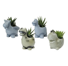 Patru jardiniere figurine animale cu plante suculente