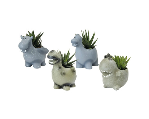 Patru jardiniere figurine animale cu plante suculente