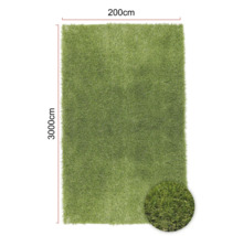 Covor verde cu dimensiunile de 200 cm pe 300 cm.