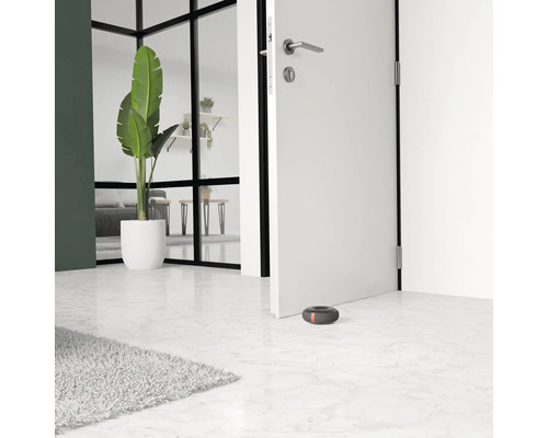 Scenă de cameră cu ușă, plantă și opritor de ușă