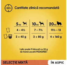 Cantitate zilnică recomandată pentru câini, în funcție de greutate.