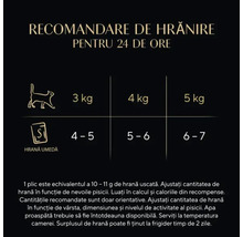 Recomandare de hrănire pentru pisici pentru 24 de ore