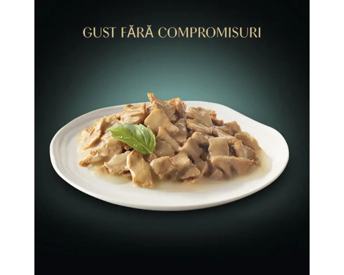 Conserve de carne pentru pisici