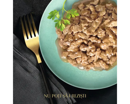 Hrană umedă pentru pisici pe o farfurie cu o furculiță