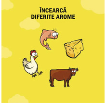 Ilustrație cu diferite arome: pește, brânză, pui și vită
