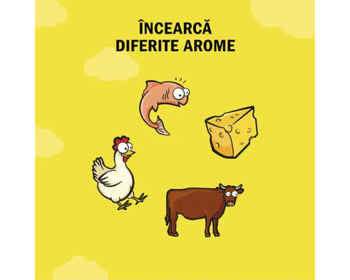 Ilustrație cu diferite arome: pește, brânză, pui și vită