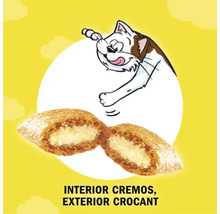 Ilustrație cu hrană pentru pisici cu umplutură cremoasă și crustă crocantă