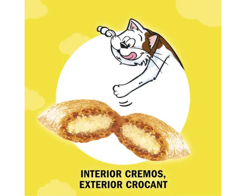 Ilustrație cu hrană pentru pisici cu umplutură cremoasă și crustă crocantă