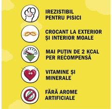 Icons showing benefits of cat treats: irresistible for cats, crunchy on the outside and soft on the inside, less than 2 kilocalories per treat, vitamins and minerals, no artificial flavors