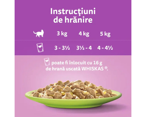 Instrucțiuni de hrănire pentru pisici