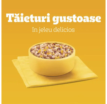 Bol cu mâncare pentru pisici în jeleu