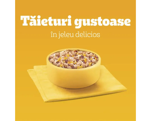 Bol cu mâncare pentru pisici în jeleu