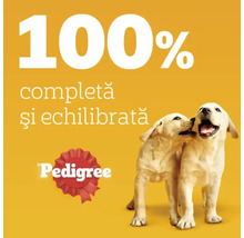 100% hrană completă și echilibrată pentru câini, Pedigree Logo, doi câini