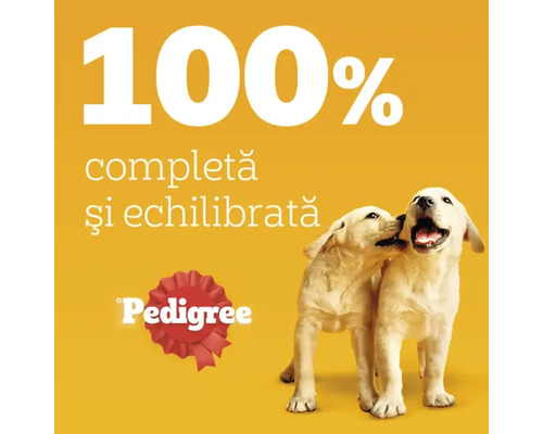 100% hrană completă și echilibrată pentru câini, Pedigree Logo, doi câini