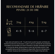 Recomandare de hrănire pentru pisici pentru 24 de ore