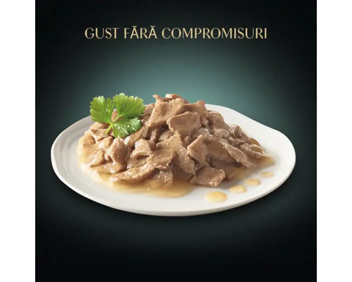 Hrană pentru animale de companie într-o farfurie cu decor de pătrunjel