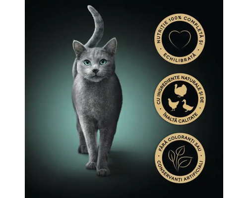 Hrană pentru pisici cu informații despre nutriție echilibrată și ingrediente naturale