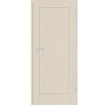 Ușă interioară elegantă cu design simplu și mâner